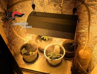 Catania, intervengono per una lite tra nonna e nipote ma scoprono una serra di cannabis: denunciato 21enne