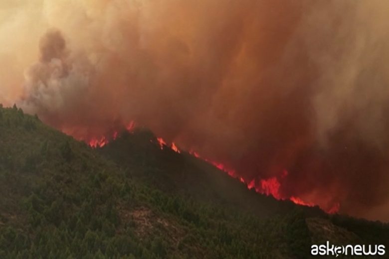 VIDEO | I boschi divorati dalle fiamme, migliaia di ettari in fumo: è emergenza nella Patagònia argentina