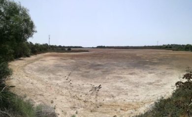 Acque di transizione, solo due su tredici promosse in Sicilia