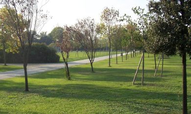 Nuovo parco urbano a Palermo, via libera dalla Giunta