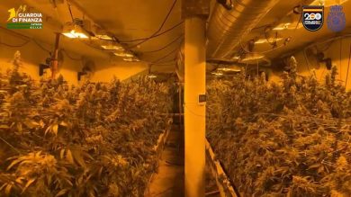 La droga viaggiava tra la Spagna e Catania: scatta il blitz, 12 arresti