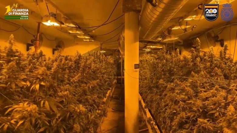 VIDEO | Operazione “Barcellona-Express/Farfalla”: scoperto traffico di droga tra Spagna e Catania