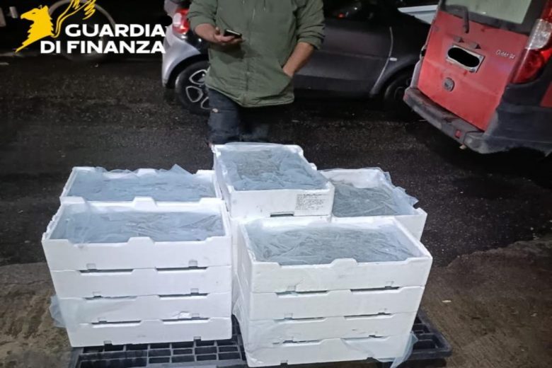 Oltre 100 chili di novellame di sarda nel bagagliaio: scatta il maxi sequestro a Messina