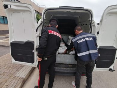 Palermo, sequestrati più di 80kg  di pesce in cattivo stato di conservazione: cinque denunciati