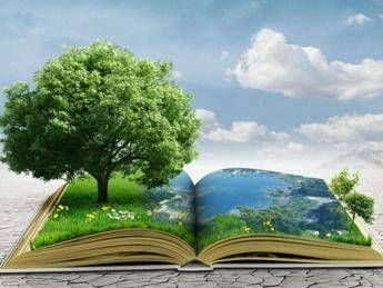 Report: Italia tra i primi tre Paesi europei per numero di brevetti green