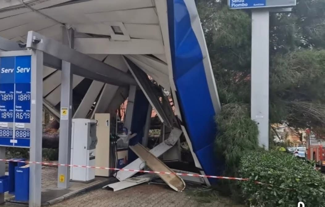 A Palermo il vento fa danni, alberi e pali caduti: oltre 130 gli interventi dei vigili del fuoco