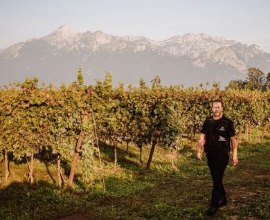 In uscita le nuove annate del progetto “Stefano Pola” in Valbelluna