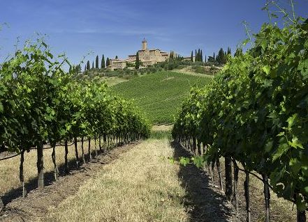 Rugby, al Sei Nazioni posto riservato per i Banfi Brunello Ambassador