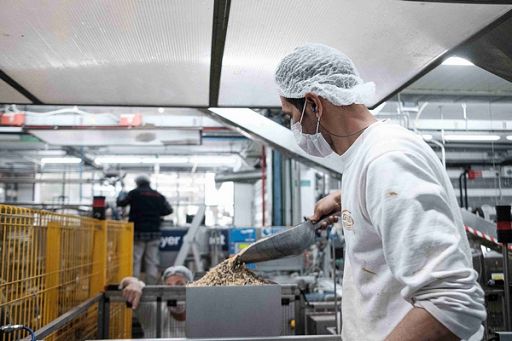 Export gelato italiano +19% in primi 6 mesi 2025, Asia +72% Export gelato italiano +19% in primi 6 mesi 2025, Asia +72%