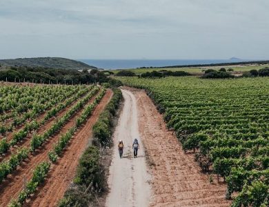 Enoturismo, “I Sentieri del Carignano” si presentano a Milano il 13 marzo