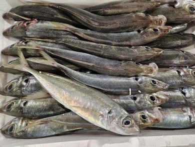 Salgono prezzi sui mercati ingrosso per pesce e ortofrutta