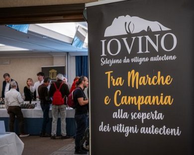 ”IO VINO 2026″: successo per confronto su autoctoni di Marche e Campania
