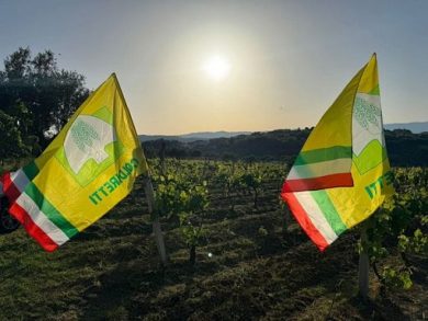 Coldiretti: costi nei campi +30%, serve intervento urgente Ue