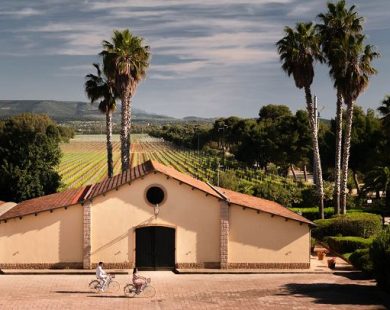 Enoturismo, Sella e Mosca amplia offerta per i visitatori ad Alghero