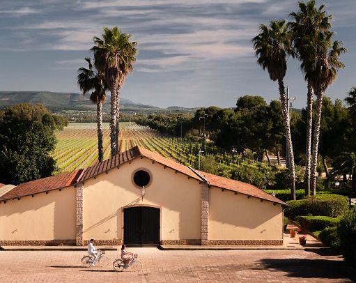 Enoturismo, Sella e Mosca amplia offerta per i visitatori ad Alghero