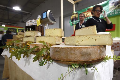 Assolatte: accordo Ue-Australia strategico, export italiano vale 76,5 mln