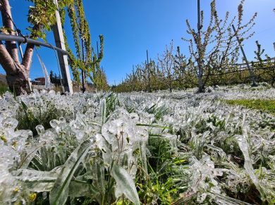 Coldiretti: rischio gelate nei campi e grandine sulle primizie