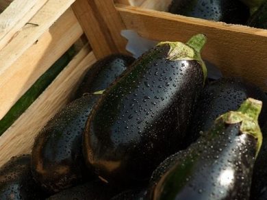 Costi produzione e logistica fanno esplodere prezzi ortofrutta