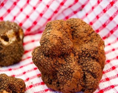 Puntare su tartufo bianco per valorizzare enogastronomia Sannio