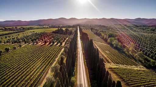 Secondo rapporto turismo Dop: in 2025 crescono attività ed eventi