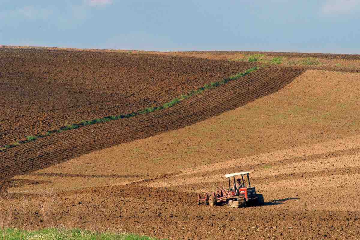 Danni e devastazione da ciclone Harry, l’agrumicoltura è in ginocchio. Le richieste del settore e l’appello: “Ogni giorno che passa è un dramma”