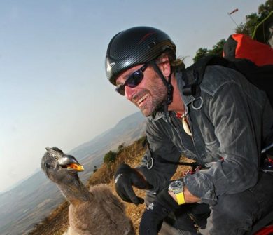 Vent’anni senza Angelo D’Arrigo, l’uomo che ha volato con le aquile