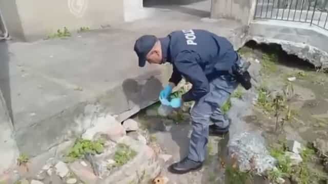 Blitz tra droga e supermarket abusivi a Catania: sanzioni fino a quasi 20 mila euro