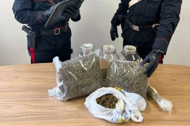 Oltre due chili di marijuana nel garage scoperti dal cane Nadia, un arresto a Partinico