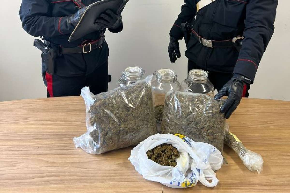 Oltre due chili di marijuana nel garage scoperti dal cane Nadia, un arresto a Partinico