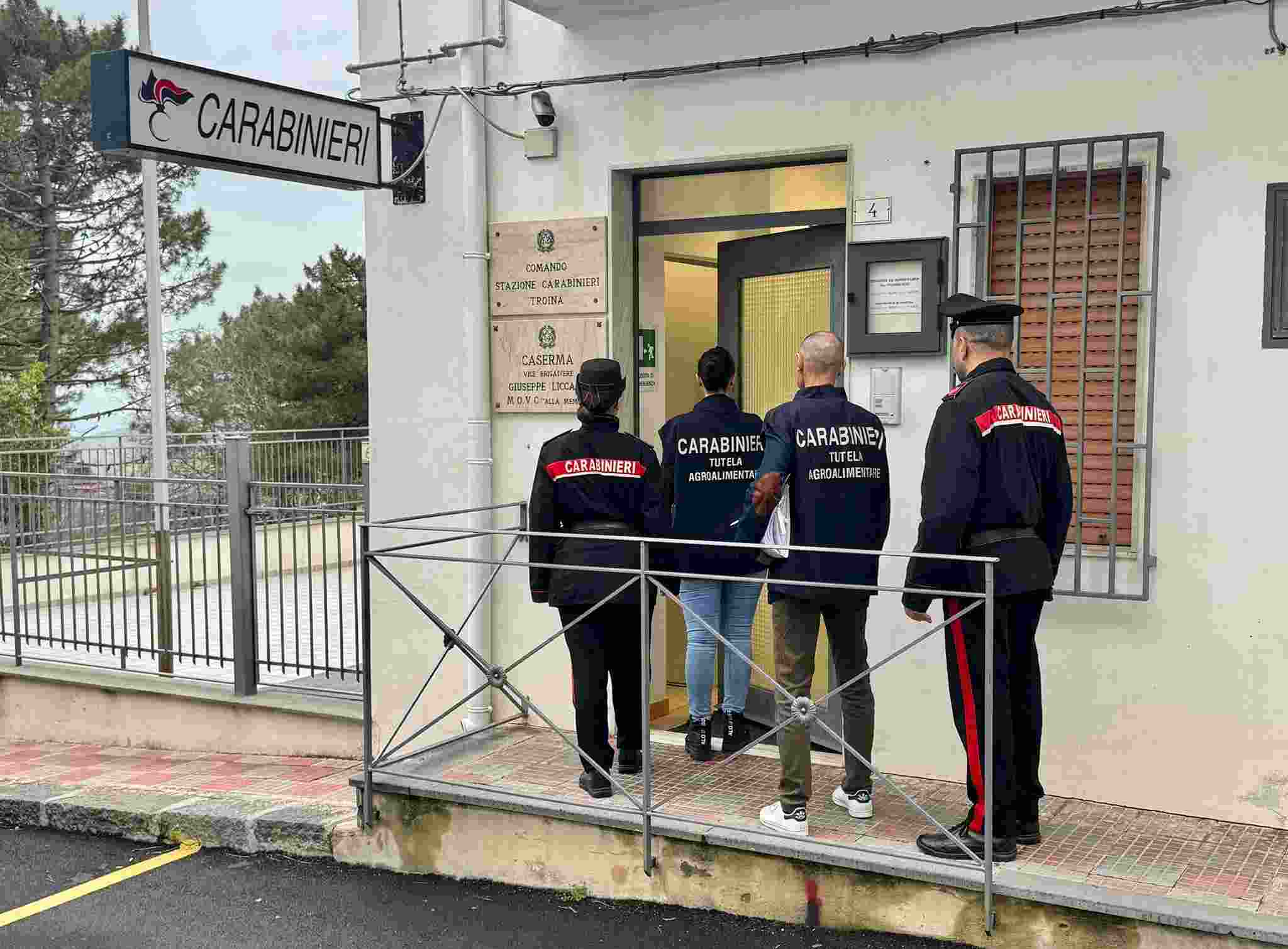 Truffa all’Unione Europea, sequestrati beni per 1,5 milioni tra Enna e Messina