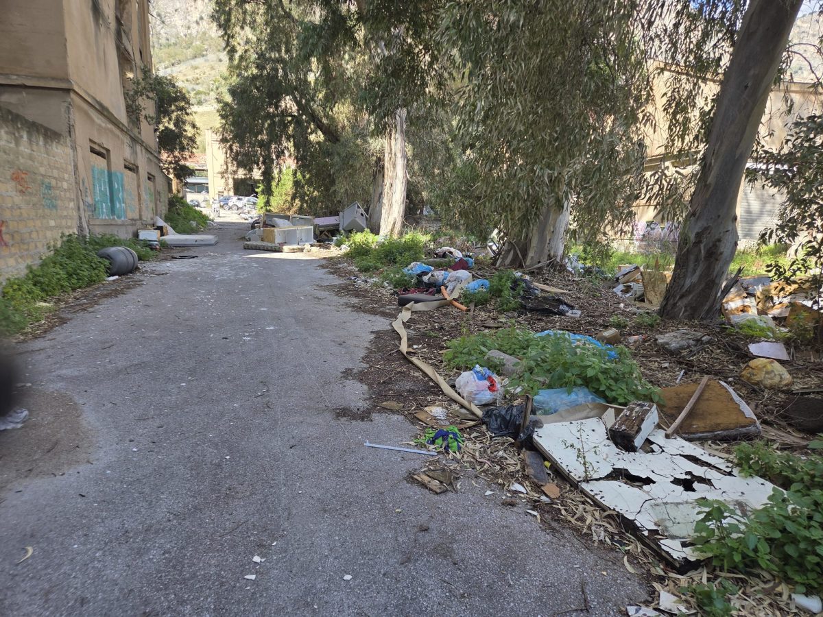 Nuovo incendio all’ex Chimica Arenella, Alaimo a QdS.it: “Telecamere e cancello di nuovo chiuso” Nuovo incendio all’ex Chimica Arenella, Alaimo a QdS.it: “Telecamere e cancello di nuovo chiuso”