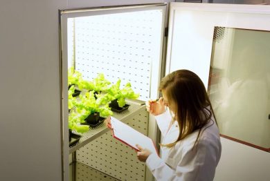 Su ricerca e brevetti la Sicilia resta ferma al palo: contributo di appena lo 0,7% sul totale nazionale