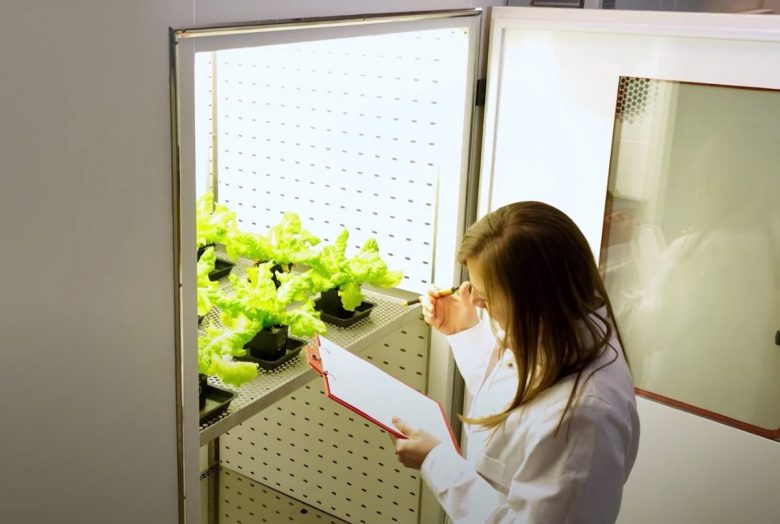 Su ricerca e brevetti la Sicilia resta ferma al palo: contributo di appena lo 0,7% sul totale nazionale