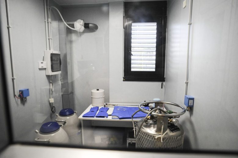 In Sicilia cambiano le modalità di fecondazione assistita: le nuove regole