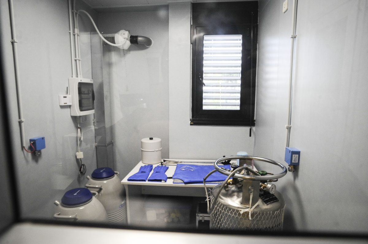 In Sicilia cambiano le modalità di fecondazione assistita: le nuove regole