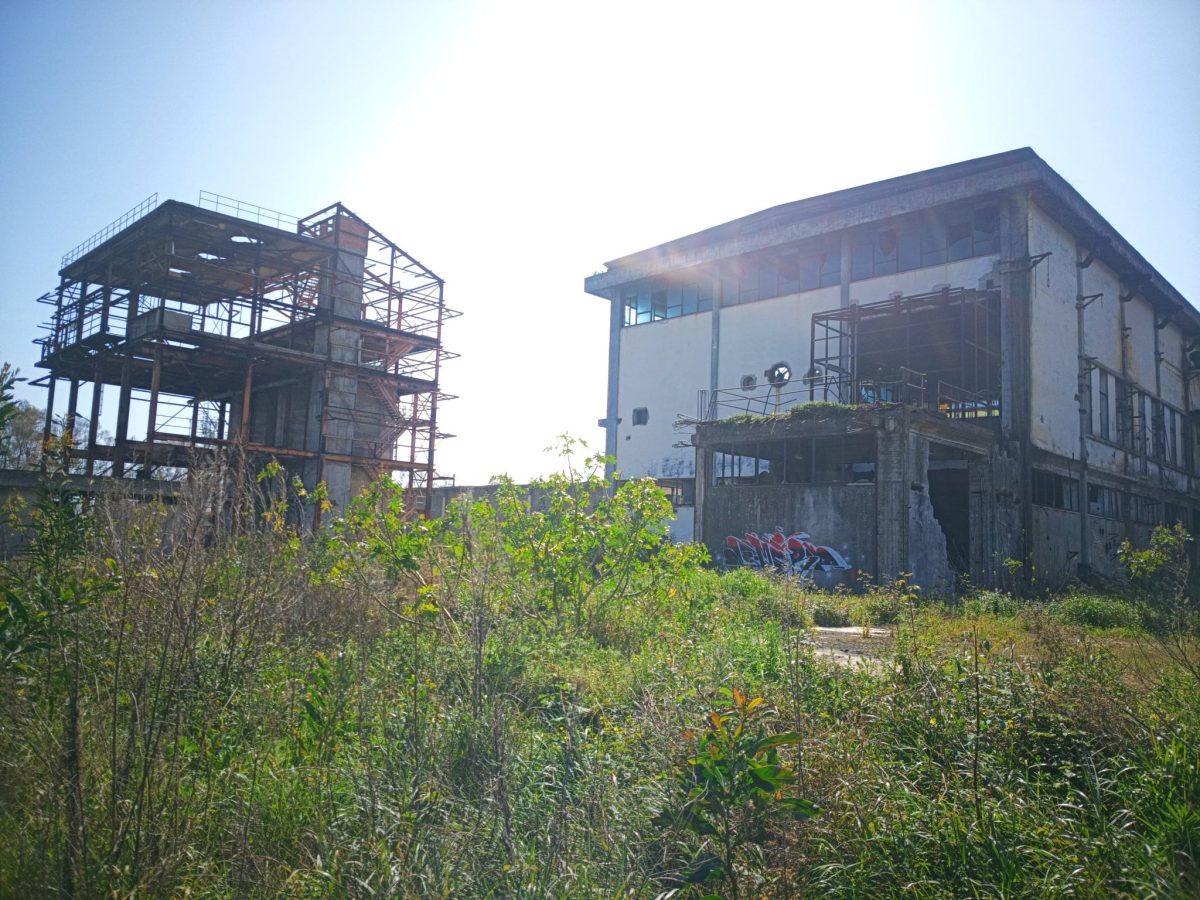 Luci di nuovo accese sull’ex cartiera Siace. Campisi: “Può essere motore di sviluppo” Luci di nuovo accese sull’ex cartiera Siace. Campisi: “Può essere motore di sviluppo”