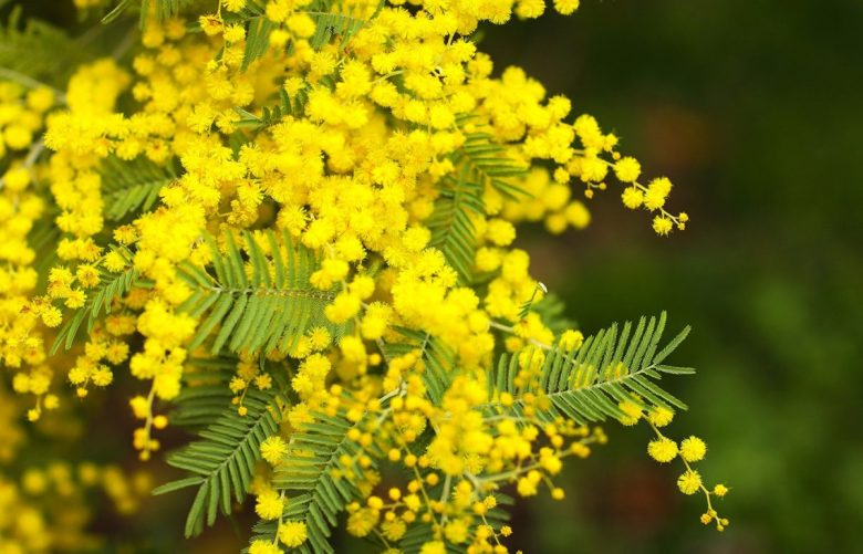 La lunga strada verso la parità: tra storia, miti e impegno concreto