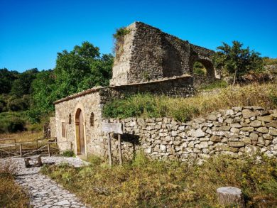 La straordinaria natura dei Nebrodi narrata dal Mulino Passo dell’Olmo