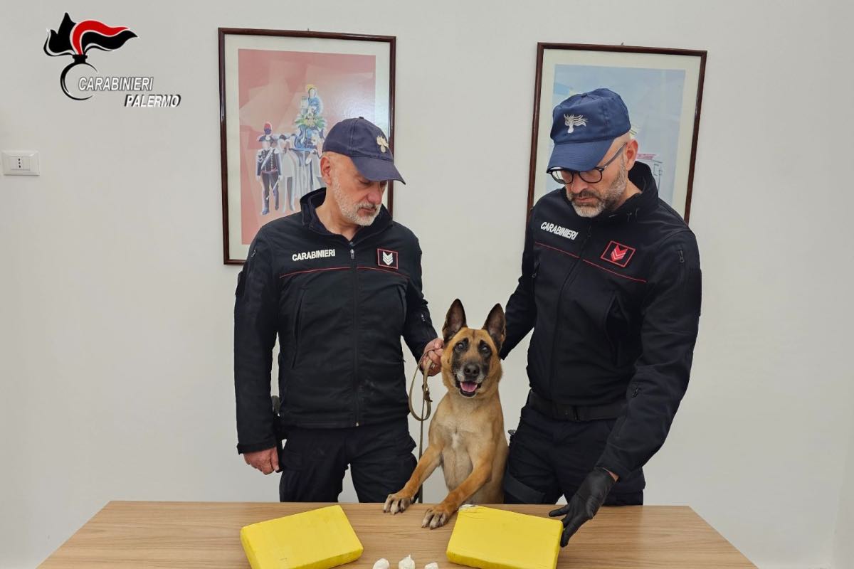 Palermo, maxi sequestro di cocaina: sventato un giro da 300.000 euro Palermo, maxi sequestro di cocaina: sventato un giro da 300.000 euro