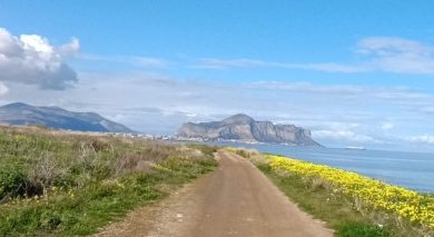 Parco Libero Grassi di Palermo, “Il progetto di bonifica non è a rischio”