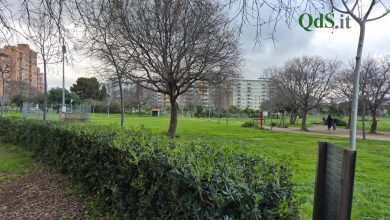 Il parco Uditore di Palermo rischia di chiudere: “Sopravvivenza limitata”