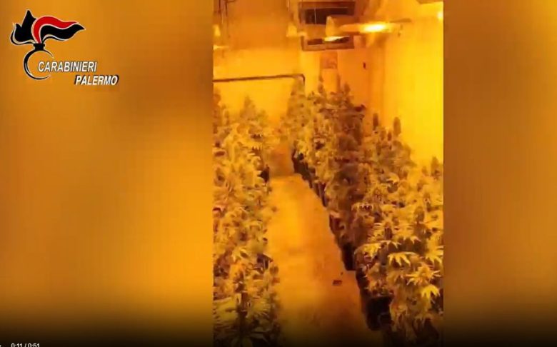 VIDEO | Palermo, carabinieri scoprono una serra di marijuana in un palazzo
