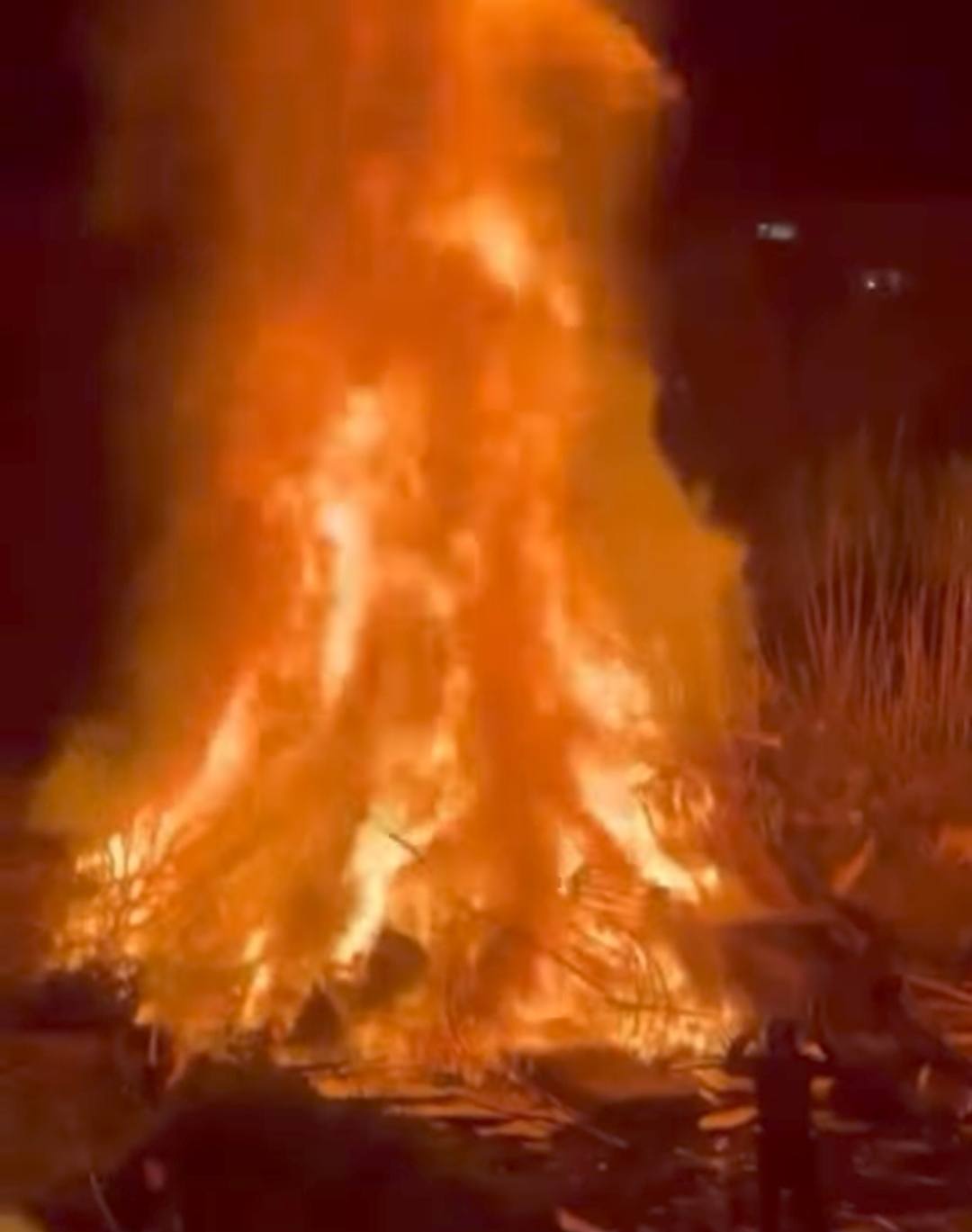 FOTO | Notte d’inferno allo Zen per le vampe di San Giuseppe, auto e cassonetti bruciati