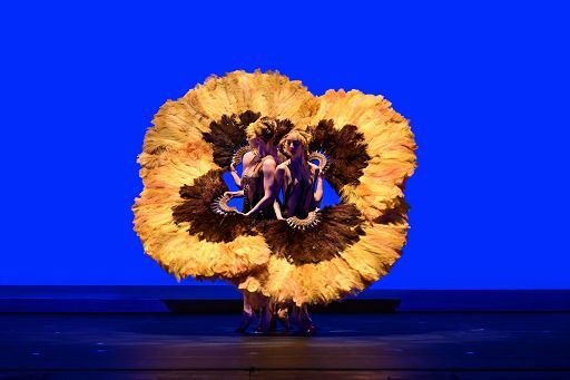 Momix, “Botanica Season 2” di Moses Pendleton debutta in Italia Momix, “Botanica Season 2” di Moses Pendleton debutta in Italia