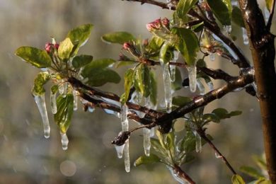 Coldiretti: nel 2026 3 nubifragi su 4 al Sud, agricoltura in crisi
