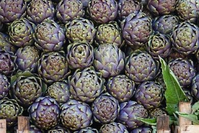 Con progetto Euphoria Bio carciofo protagonista nei ristoranti