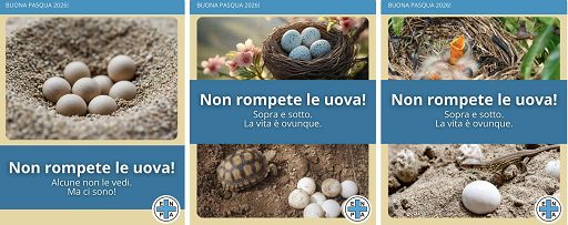 Enpa lancia la campagna di Pasqua 2026, “Non rompete le uova!” Enpa lancia la campagna di Pasqua 2026, “Non rompete le uova!”