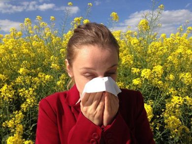 Allergologi: previsto picco pollini (+25%) e del rischio di reazioni