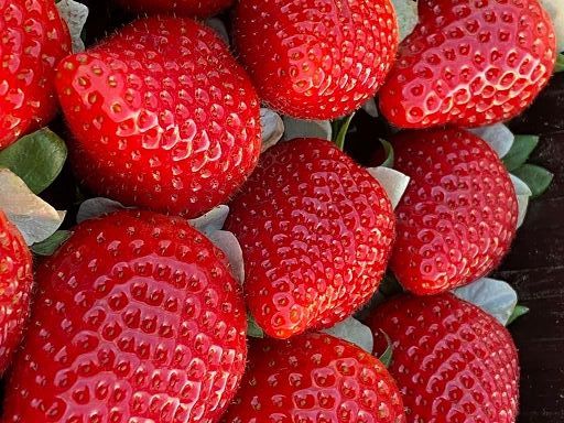 Fragole in calo dell’11,2% per abbondanza prodotto da Spagna