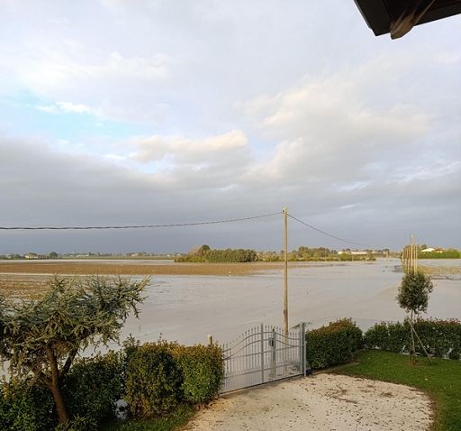 Cia: al Sud danni nei campi per maltempo da migliaia di euro